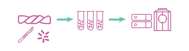 Preservacin de las clulas mesenquimales