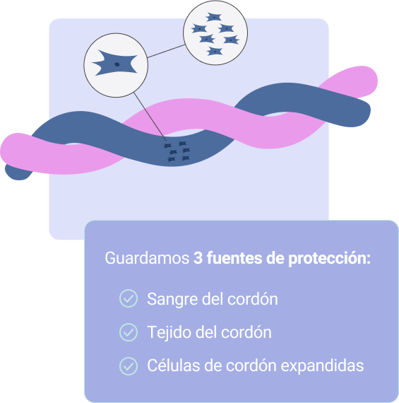 Expansi�n de c�lulas